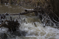 IMG_ (11_C)